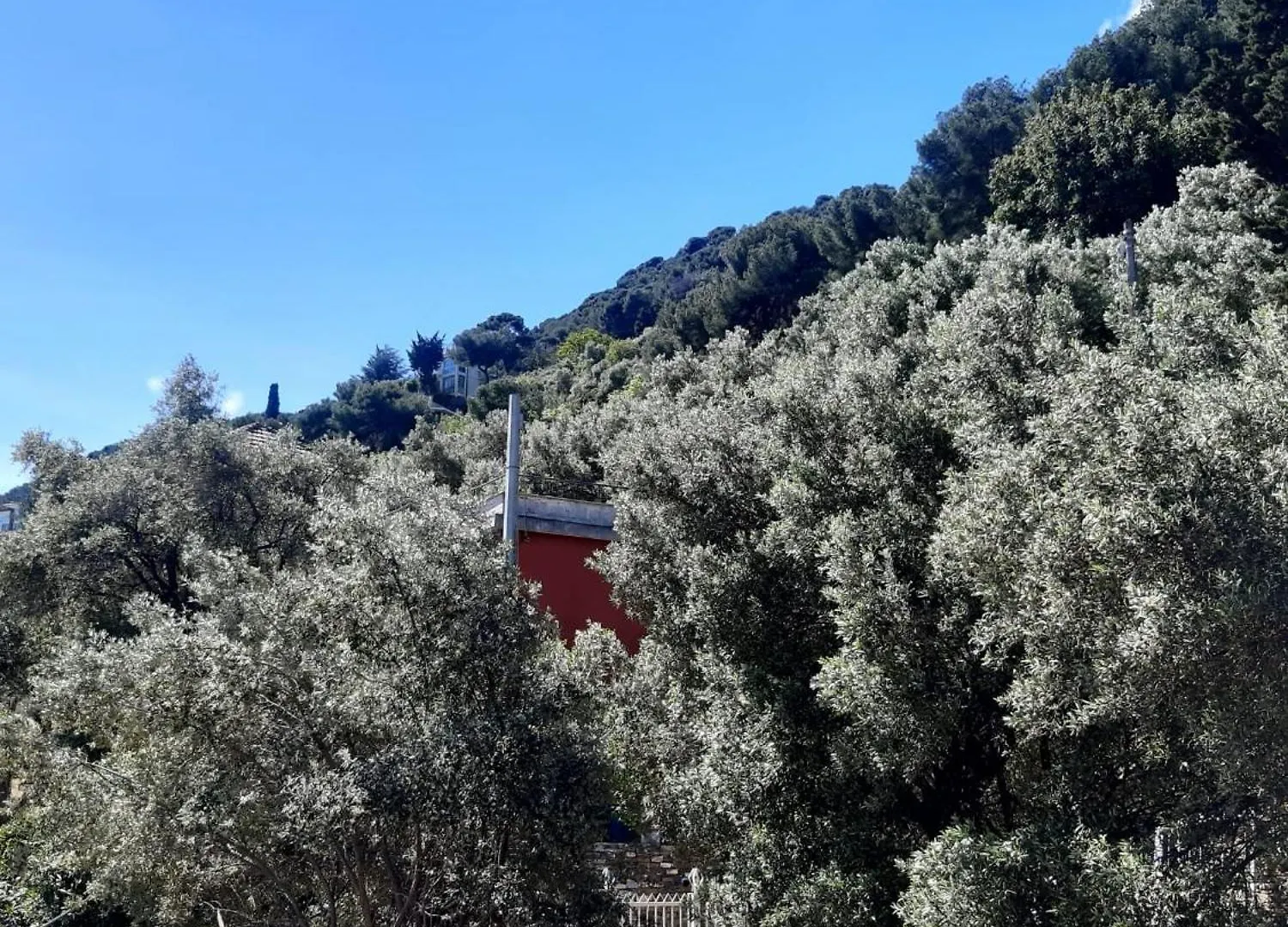 Spectacular Sea View - 3 Minutes Walk From The Sea Villa Laigueglia 0*,